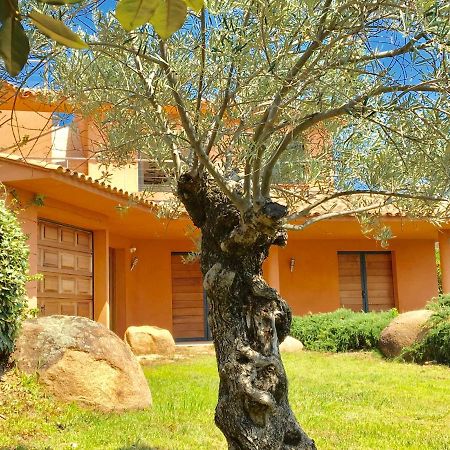 Villa Santa Giulia, Vue Panoramique Sur La Mer, 900 M De La Plage Porto-Vecchio  Exteriör bild